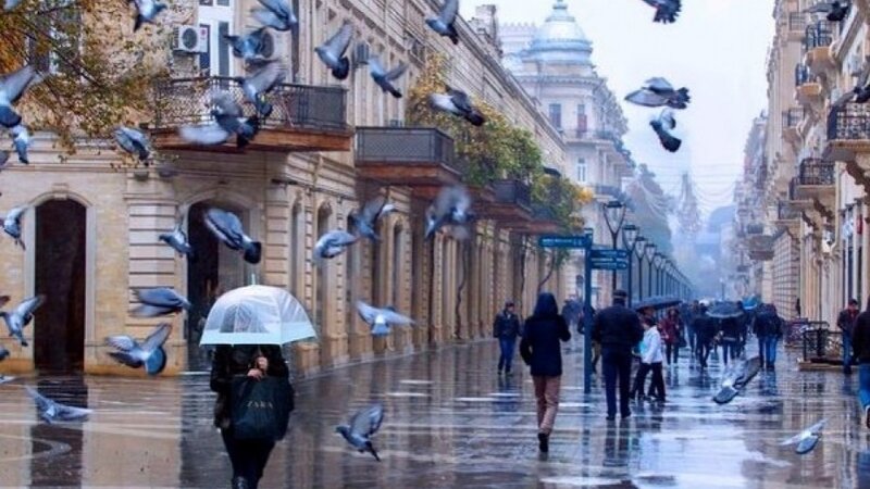 Bakıda yağıntılar intensivləşəcək -