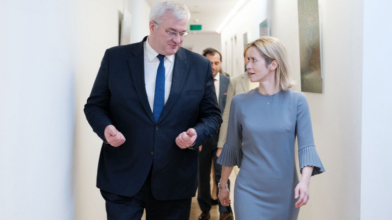 Kallas və Aİ xarici işlər nazirləri 31 martda Kiyevə səfər edəcəklər