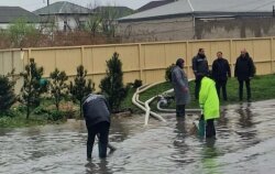 BŞİH müavini yağışın fəsad yaratdığı ərazilərə baxış keçirib