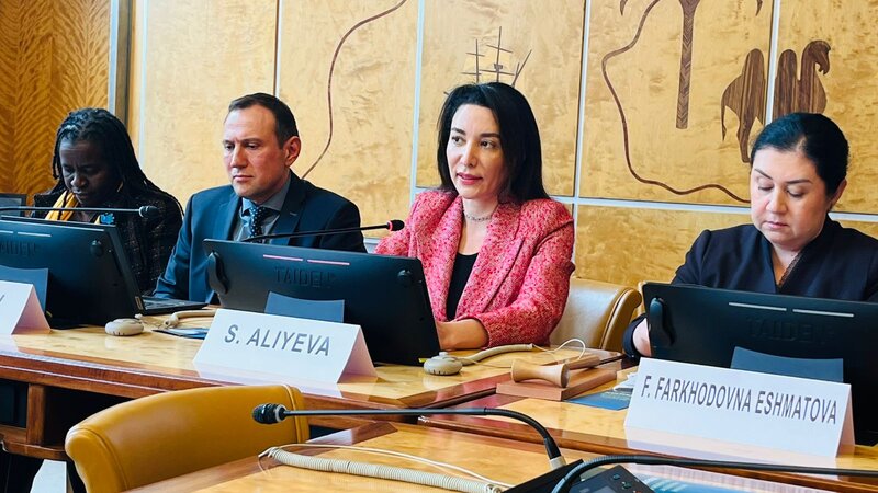 Ombudsman Milli İnsan Hüquqları Təsisatlarının Qlobal Alyansının illik iclasında iştirak edib