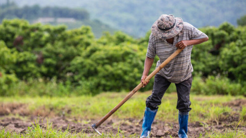 Qazaxıstan, Rusiya və Belarus birgə kənd təsərrüfatı texnikası istehsal edəcək