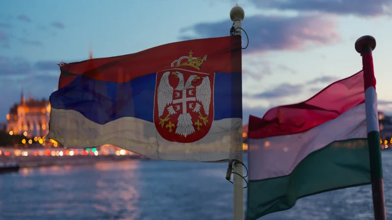 Serbiya-Macarıstan qaz kəməri yaxınlığında partlayıcı aşkarlandı