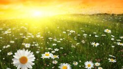 Sabahın havası açıqlandı: Temperatur 30 dərəcəyə çatacaq