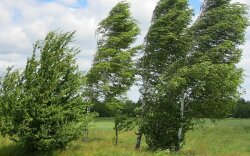 Küləkli hava şəraiti ilə bağlı sarı və narıncı xəbərdarlıq verildi