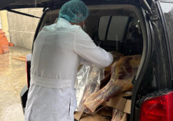 Reyd zamanı istehlaka yararsız 227 kq at əti aşkarlanıb