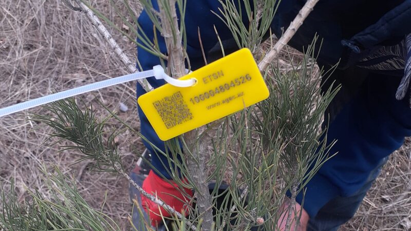 Nazirlik Elmi Cərrahiyyə Mərkəzi ilə bağlı iddialara aydınlıq gətirdi