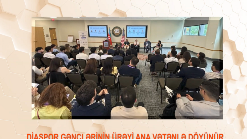 Diaspor gəncləri müxtəlif layihələrdə birləşir -