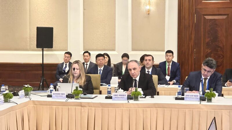 Kamran Əliyev Beynəlxalq Prokurorlar Assosiasiyasının İcraiyyə Komitəsinin iclasında iştirak etdi -