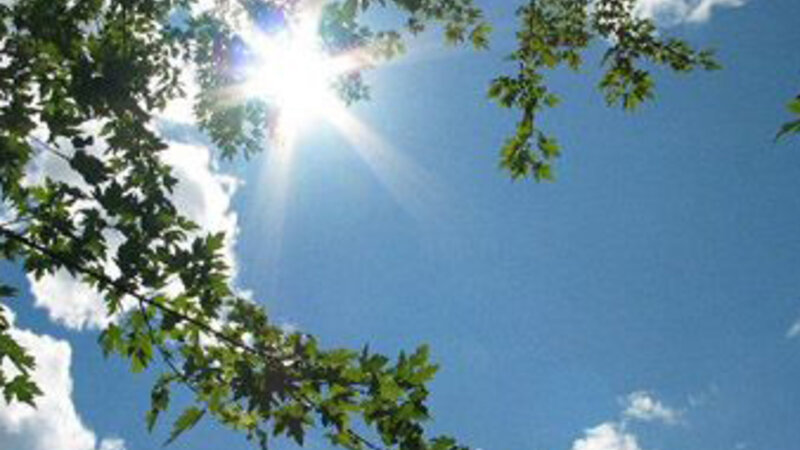 Sabah 22 dərəcə isti olacaq