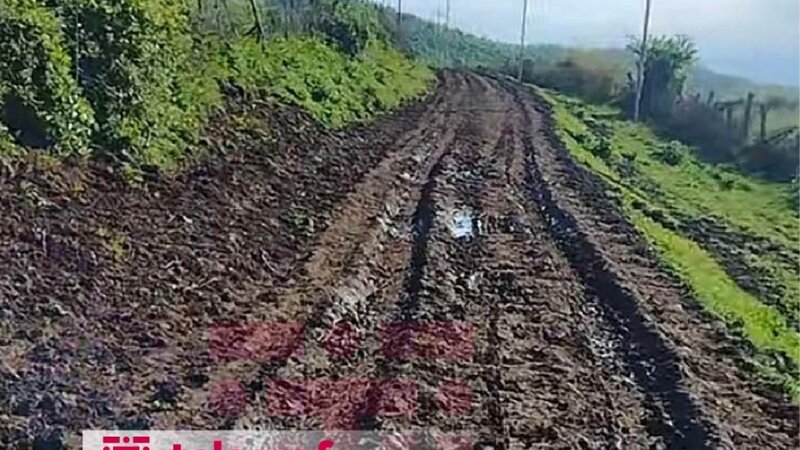 Cəlilabadın 36 evlik kəndi tədricən boşalır -