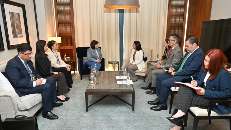 Sahibə Qafarova Venesuela Parlamentinin vitse-spikeri ilə görüşüb