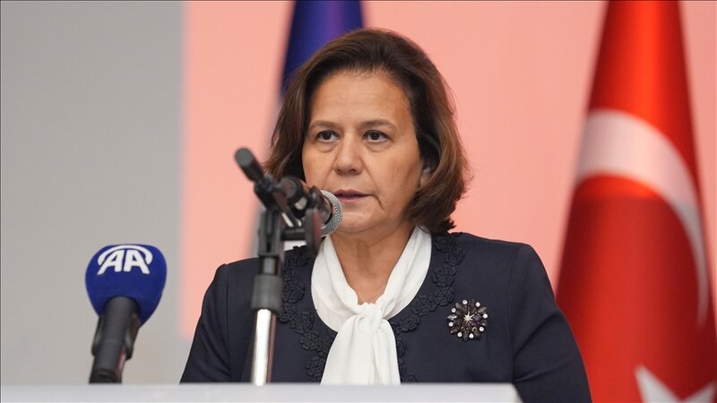 Ayşə Berris Ekinci: Qlobal əlaqələr yeni mərhələyə qədəm qoyub