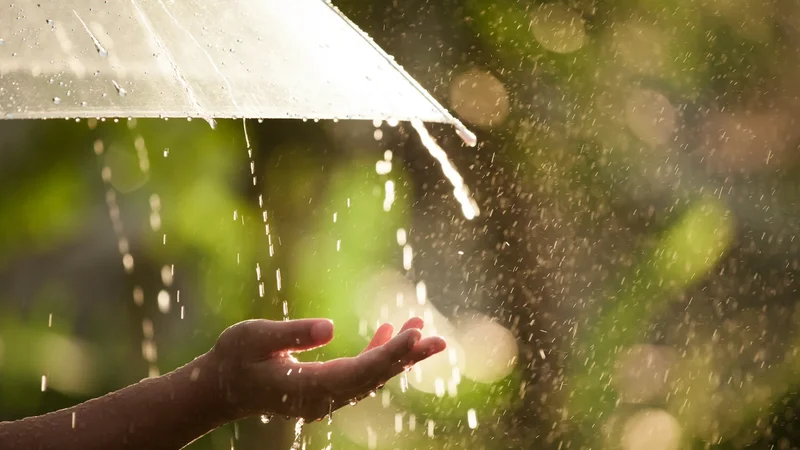 Sabah yağış yağacaq