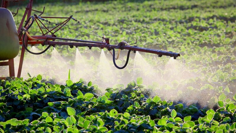 Alaq otlarına qarşı istifadə olunan herbisidlər xərçəng riski yaradır