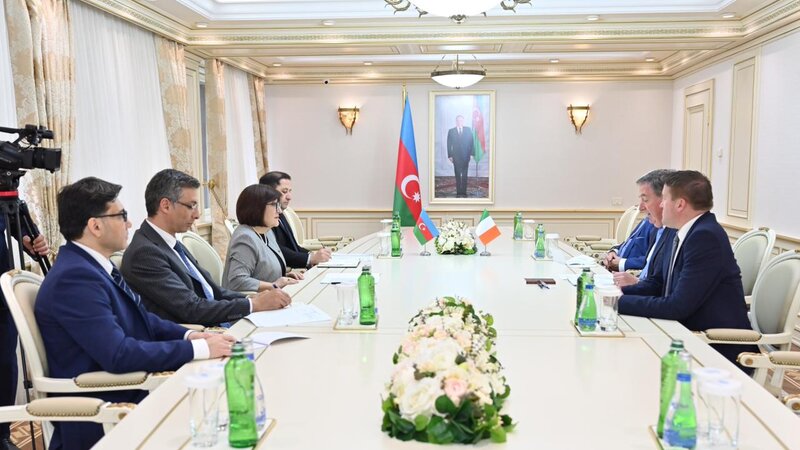 Sahibə Qafarova Toni MakKormakla görüşüb