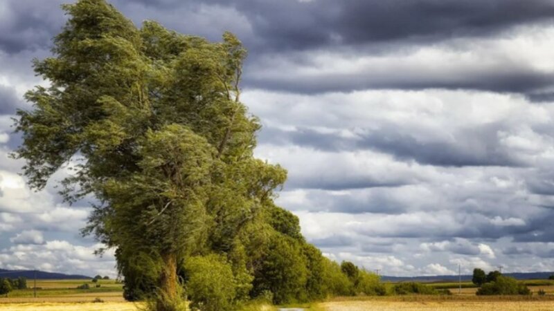 Sabah bəzi bölgələrdə güclü külək əsəcək