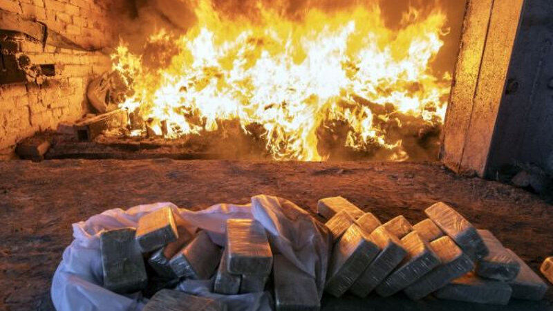 Göyçayda məhkəmə qərarları əsasında müsadirə olunan narkotik vasitələr məhv edildi