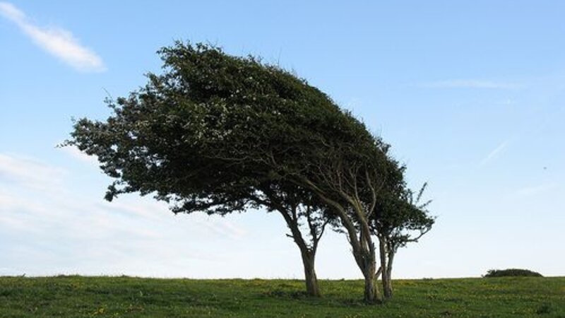İki gün güclü külək əsəcək
