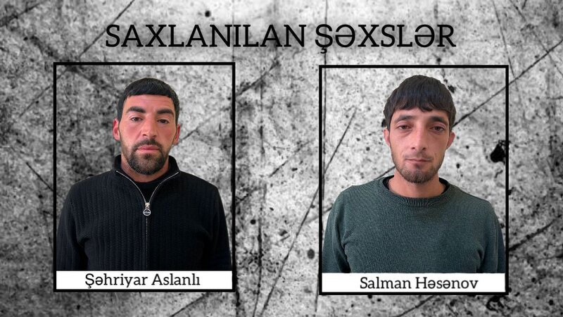 Şirvanda çətənə kolları yetişdirən iki nəfər saxlanılıb