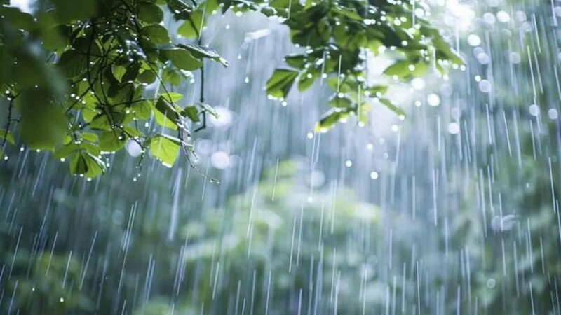 Rayonlara iki gün yağış yağacaq -