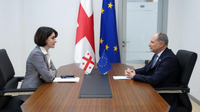 Maka Boçorişvili: Gürcüstan Avropa İttifaqının təzyiq və təhdidlərini qəbul etməyəcək