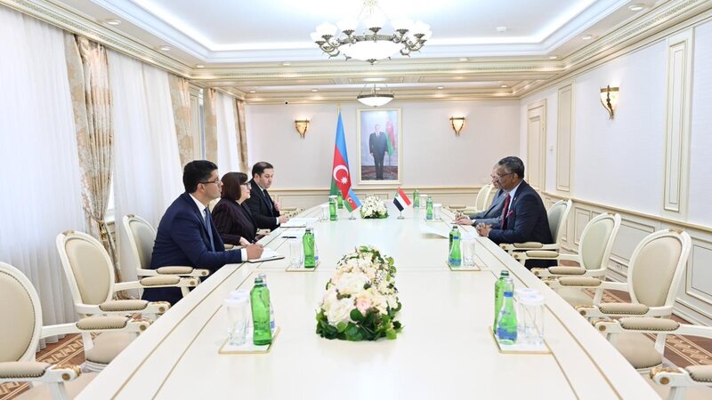 Sahibə Qafarova Sudanın ölkəmizdəki fövqəladə və səlahiyyətli səfiri ilə görüşüb