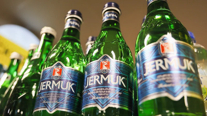 Rusiya Ermənistana qadağa qoydu