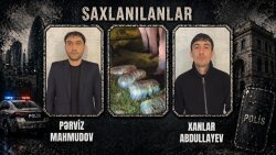 Oğuzda saxlanılan narkokuryerlərdən 13 kiloqram marixuana aşkarlandı