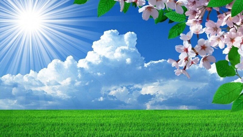 "İqlim haqqında" qanun layihəsi hazırlandı