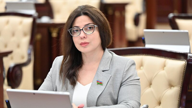 Səbinə Salmanova: Avropa institutları konkret maraq qruplarının təsiri altındadır