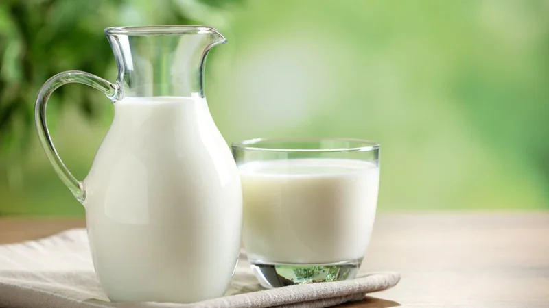 Süddəki komponentlər qida allergiyasını azaldır və bağırsağı qoruyur