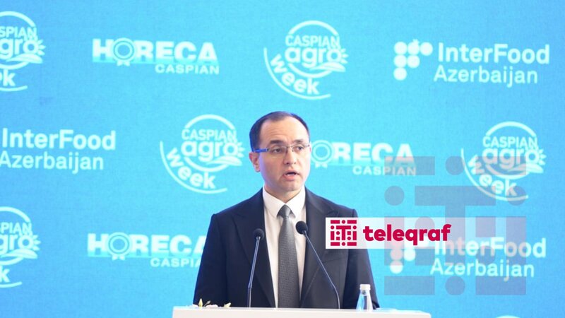 Nazir: Yağışlar çiçək açan meyvə ağaclarına mənfi təsir edə bilər