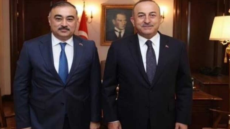 Azərbaycanın Türkiyədəki səfiri Mövlud Çavuşoğlunun qardaşına edilən hücumu pislədi