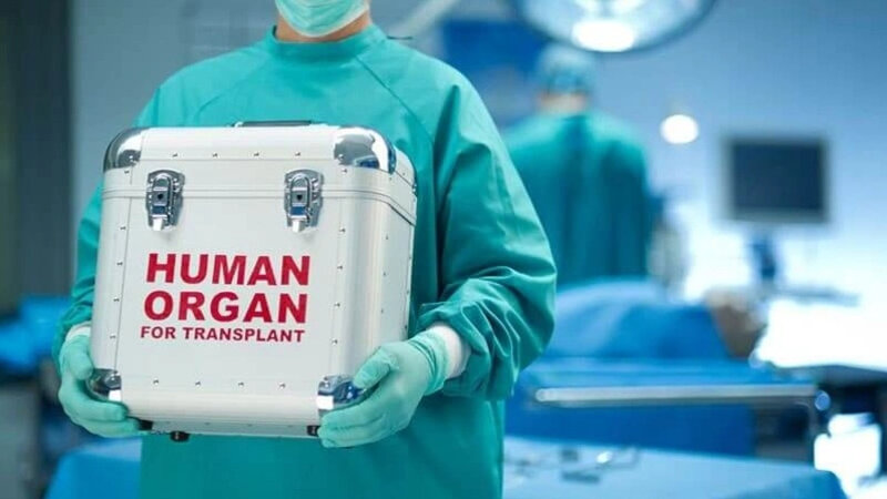 Özbəkistan özəl klinikalara orqan transplantasiyası əməliyyatına icazə verəcək