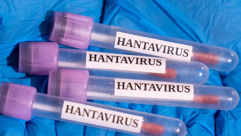 ÜST: Hantavirusun əhali üçün təhlükə səviyyəsi olduqca aşağıdır
