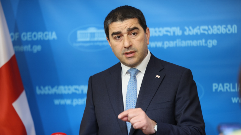 Papuaşvili Avropa Parlamentini anti-Gürcüstan qətnamələrini ləğv etməyə çağırdı