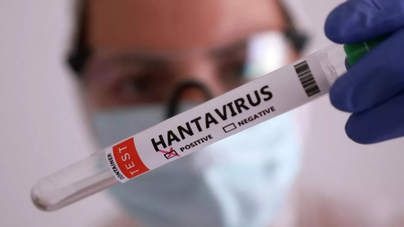 Səhiyyə Nazirliyindən hantavirus infeksiyası ilə bağlı -