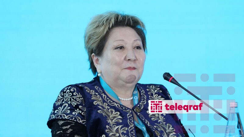 Türk dünyasının könüllülər şəbəkəsinin yaradılması təklif edildi