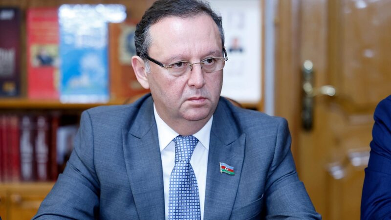 "Azərbaycan və türkdilli ölkələr Avropa ölkələrinin resurslara artan ehtiyaclarını qarşılamaq iqtidarındadır"
