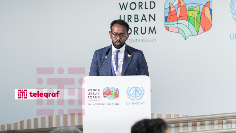 Somali rəsmisi: Şəhərləşmə və iqlim böhranı mənzil sistemlərinə təzyiqi artırır