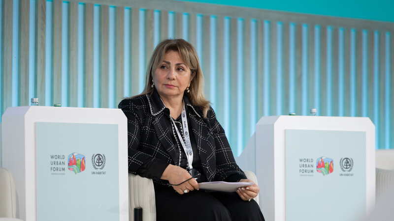 Gülşən Rzayeva: Qarabağ və Şərqi Zəngəzurun bərpası post-münaqişə ölkələri üçün unikal modeldir