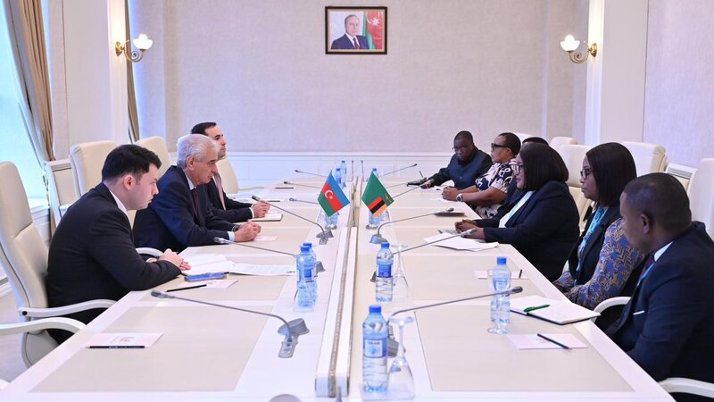 Zambiya Milli Assambleyasının nümayəndə heyəti Milli Məclisdə olub