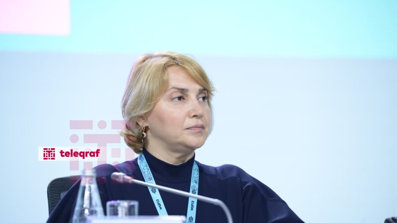 Elnarə Ənsari: Azərbaycanda tam elektron və təmassız əlillik qiymətləndirmə sistemi yaradılıb