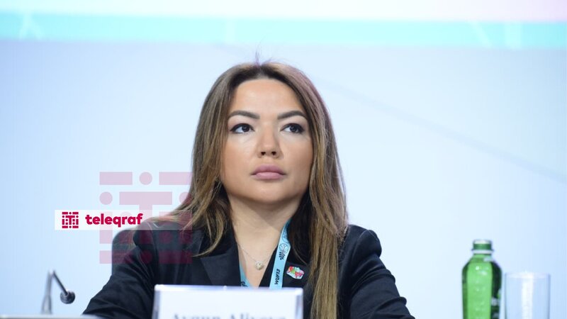 Aygün Əliyeva: Azərbaycan inklüziv şəhər istiqamətində ardıcıl və məqsədyönlü siyasət həyata keçirir