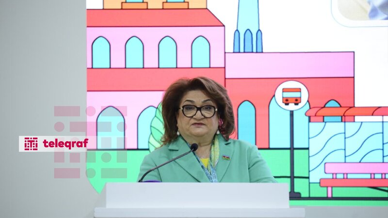 Hicran Hüseynova: Əsas məqsəd zəruri olan mövzular üzrə həll yollarının tapılmasıdır