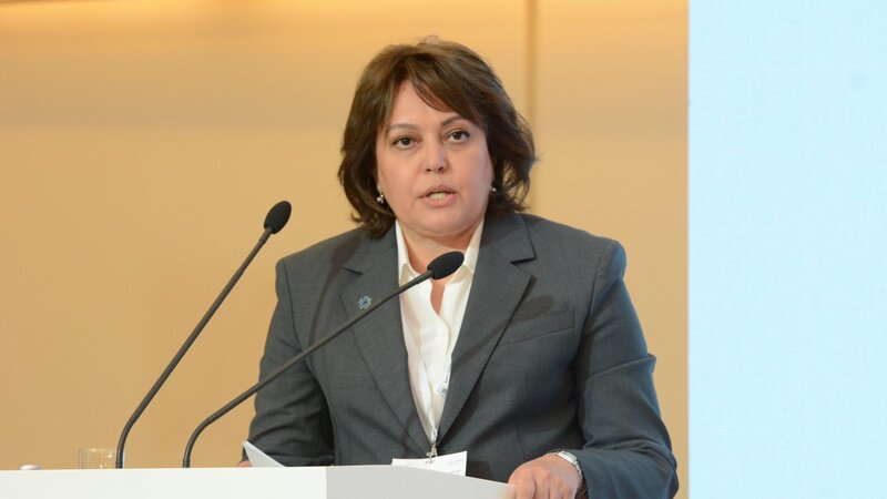 Umayra Tağıyeva: Təmiz hava artıq yalnız ekoloji məsələ deyil