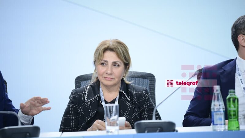 Gülşən Rzayeva: Havanın keyfiyyəti parklar və ictimai məkanlar vasitəsilə təmin ediləcək