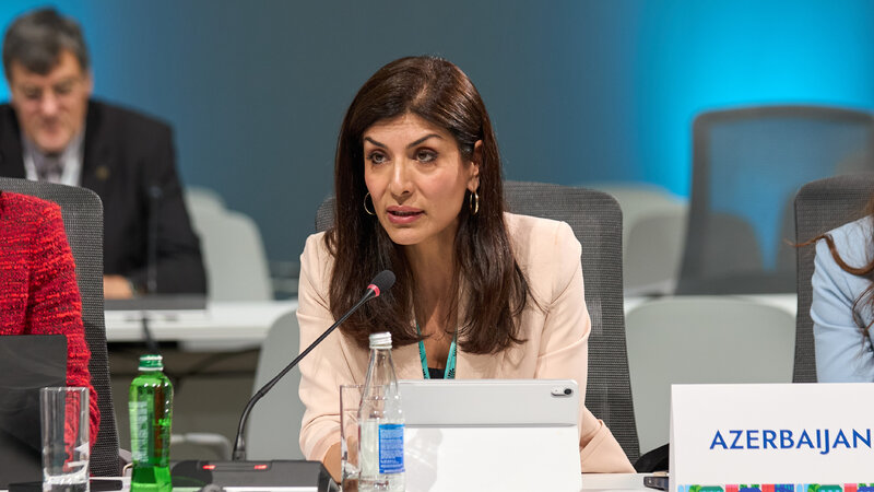 Deputat: İşğaldan azad edilmiş ərazilərdə unikal yenidənqurma layihəsi həyata keçirilir