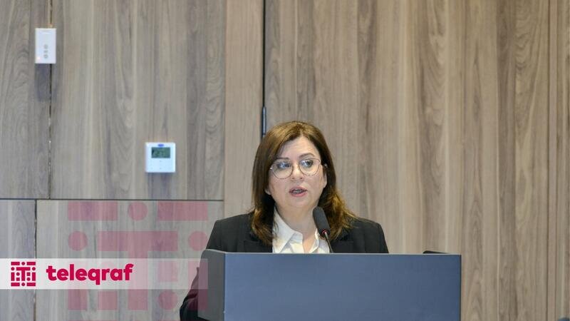 Nərgiz Qaracayeva: Azad edilmiş ərazilərdə bütün tədbirlər insanların sağlam təbiətdə rifah halında yaşamasına xidmət edir