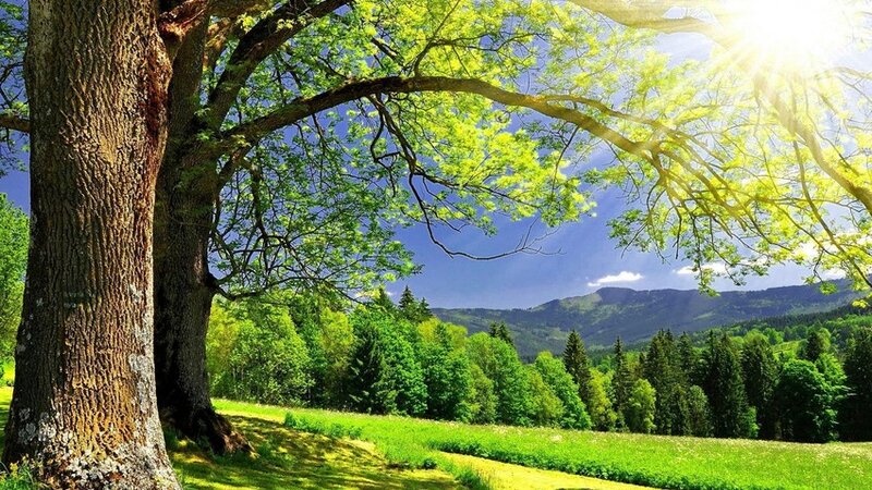 Sabah 28 dərəcə isti olacaq